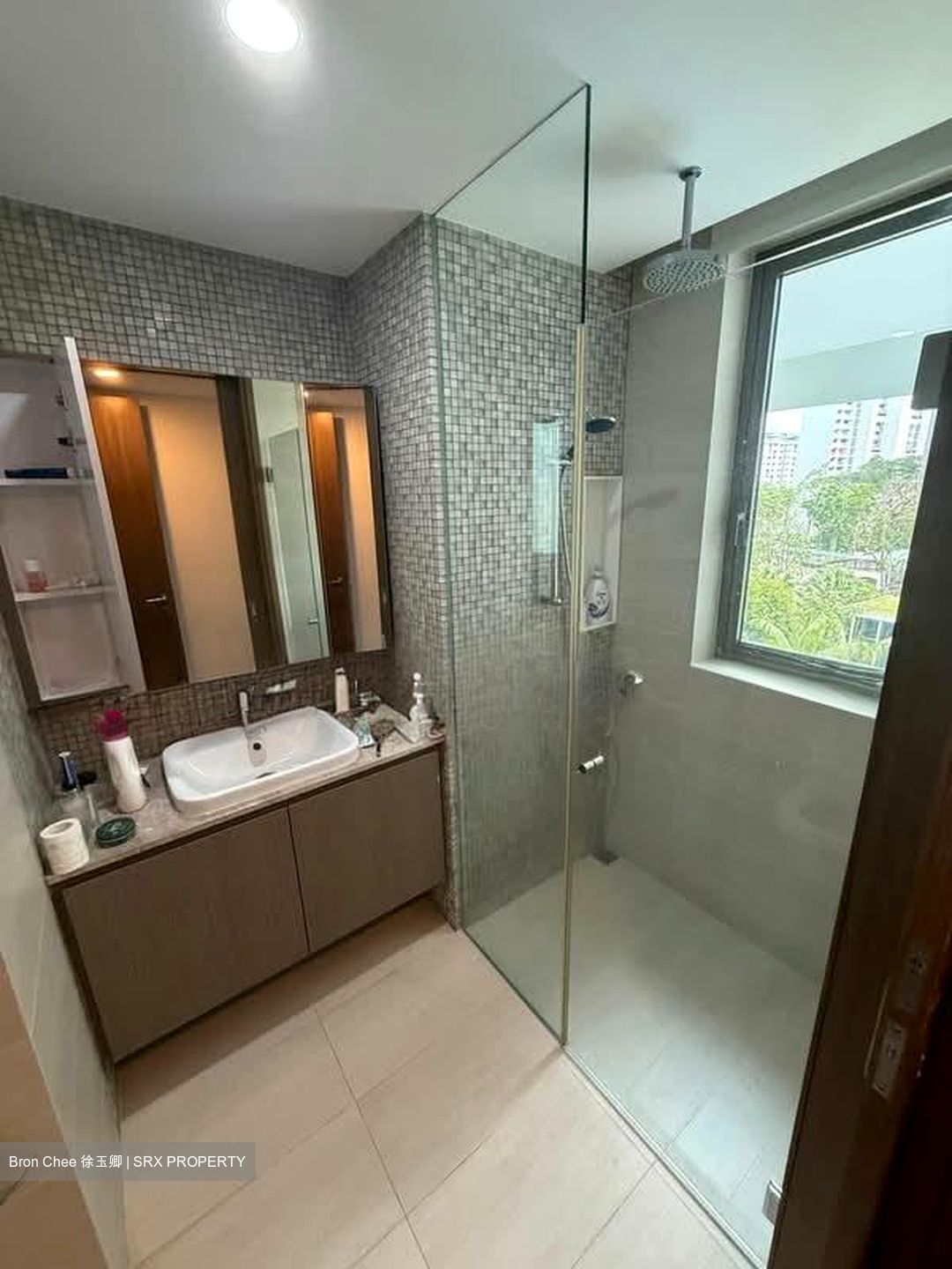 The Tembusu (D19), Condominium #538219661